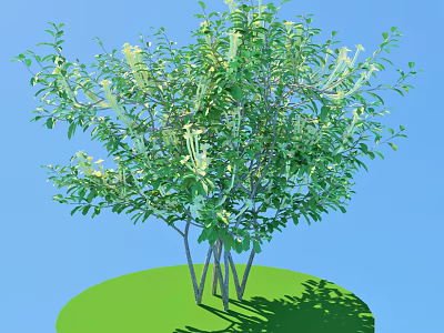 Lush Green Shrub with Leaves and Tiny Flowers on Green Ground Under Blue Sky 3d model