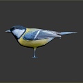 Modern Birds Birds 3d model