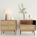 Modern Wooden Nightstands With Rattan Drawers White Cup Lamp Vase Green Plant Books Decorative Item