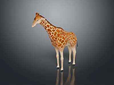 Game Movie Character Giraffe With Brown And White Spots Standing On Gray Background With Reflection 3d model