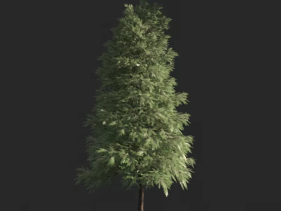 Lush Green Arbor With Dense Foliage And Brown Trunk In Dark Background 3d model