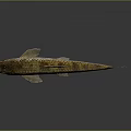 Small Fish With Brown Yellow Spotted Body Fins And Tail On Gray Background With Reflection