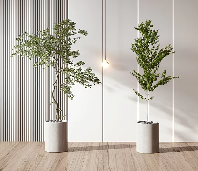 Bonsai Potted Plants In White Cylindrical Planters With Vertical Striped Walls Wooden Flooring Hanging Light 3d model