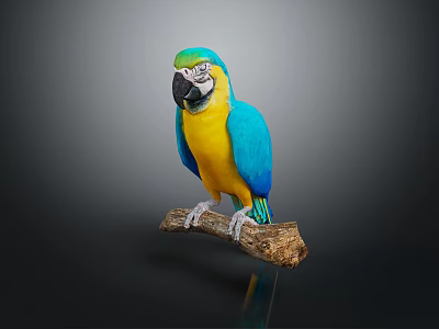 Vibrant Blue And Yellow Macaw Parrot Perched On A Wooden Branch 3d model