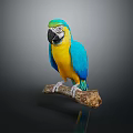 Vibrant Blue And Yellow Macaw Parrot Perched On A Wooden Branch