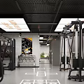 Spacious Modern Gym Interior Design With Professional Fitness Training Equipment And Natural Green Decorations
