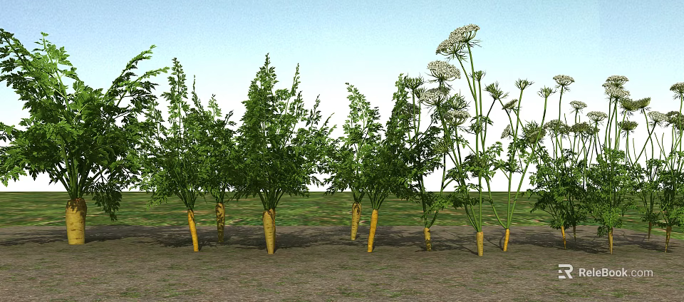 Fresh Vegetables Growing In Garden Soil With Green Leaves And Yellow Roots 3d model 