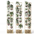 Golden Multi Tiered Shelves With Various Potted Green Plants For Indoor Decor