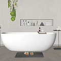 Freestanding White Bathtub With Wall Shelf Toiletries Towels And Hanging Plant