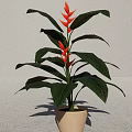 Bonsai Potted Plant With Green Leaves And Orange Flowers In Beige Pot