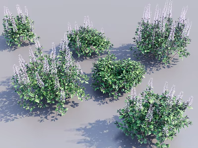 Lush Green Plants With Purple Flowers For Garden Landscaping Design 3d model
