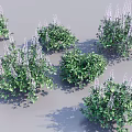 Lush Green Plants With Purple Flowers For Garden Landscaping Design