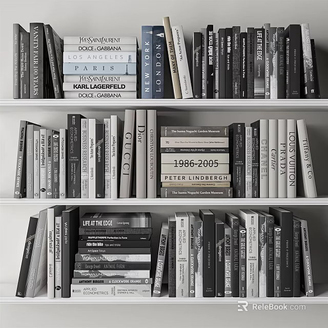 Books and Magazines on Organized Shelves with Various Titles and Authors 3d model 