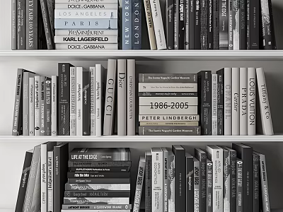Books and Magazines on Organized Shelves with Various Titles and Authors 3d model