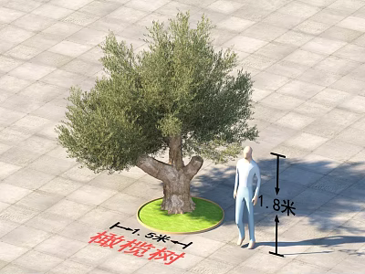 Garden Landscape Featuring Olive Tree With 3.5m Diameter On Square Paved Ground 3d model