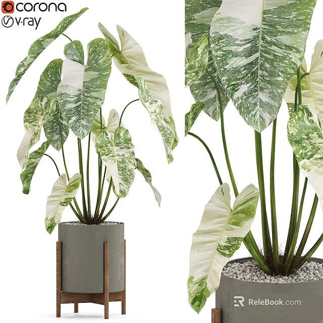 Stylish Decorative Ornament Set with Variegated Green Leaves in Cement Planter 3d model 