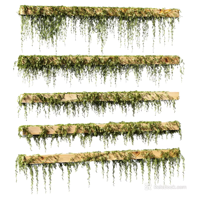 Living Green Plant Wall Design With Wooden Shelves And Trailing Vines 3d model 