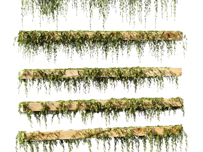 Living Green Plant Wall Design With Wooden Shelves And Trailing Vines 3d model