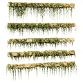 Living Green Plant Wall Design With Wooden Shelves And Trailing Vines