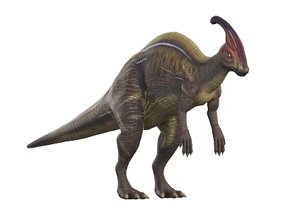 Realistic Dinosaur With Crested Head And Striped Body Standing Posture 3d model