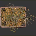Artistic Bonsai Tree in Red Square Pot with Yellow Gravel and Colorful Leaves
