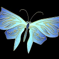 Exquisite Butterfly Shaped Jewelry With Blue Enamel Wings And Gold Decorative Patterns