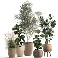 Bonsai Potted Plants Collection with Various Green Indoor Decorative Woven and Cloth Planters