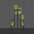 Bonsai Potted Plants Display on Black Multi Tiered Stand for Indoor Decorative Arrangement