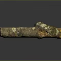 Organic Natural Wood Log Featuring Bark Moss And Textured Surface Reflection