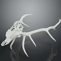 Realistic White Deer Skull With Large Antlers Displayed On Dark Reflective Background