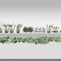 Green Agricultural Crops With Sunflowers Various Herbs And Fruits On Ground