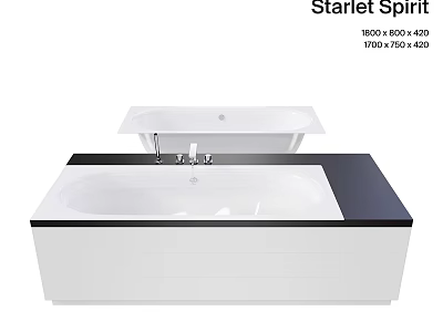 Modern Starlet Bathtub Design With White Basin And Black Countertop Surface 3d model