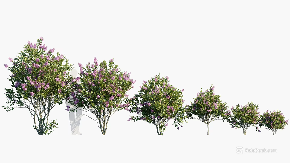Purple Flowering Shrubs For Garden Landscaping With Different Sizes And Green Foliage 3d model 