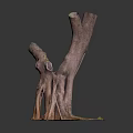 Natural Wood Stump Sculpture With Exposed Roots And Moss On Square Base