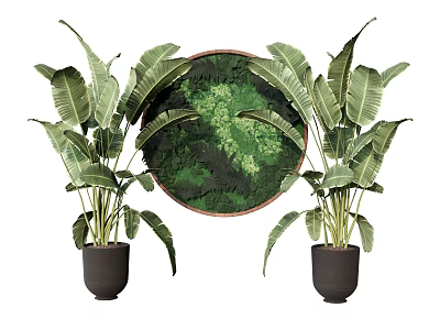 Lush Green Plants With Large Leaves In Black Pots And Round Green Wall Art 3d model
