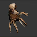 Detailed Brown Spotted Crab With Large Claws On Dark Shiny Background