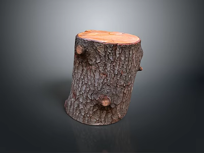 Wooden Stump Decorative Piece With Natural Bark Texture For Home Decor 3d model