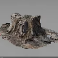 Natural Weathered Tree Stump Decorative Piece With Bark Texture And Earth Tones