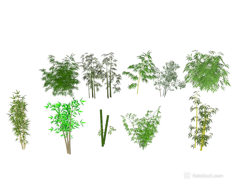 Various Bamboo Plants with Different Varieties Diverse Leaf Shapes and Heights 3d model 