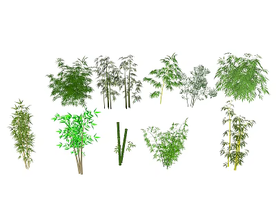 Various Bamboo Plants with Different Varieties Diverse Leaf Shapes and Heights 3d model