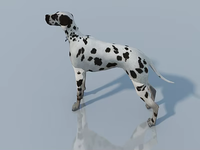 Reptile Lizard With Black Spots And Scaly Skin On White Background 3d model