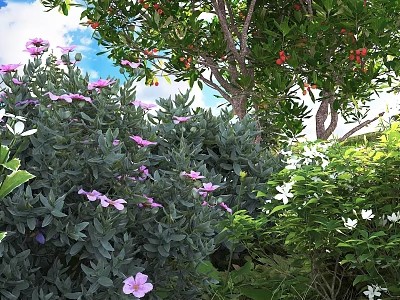 Vibrant Shrub With Purple Flowers And Lush Green Foliage In Sunlit Garden 3d model