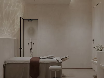 Serene SPA Sauna Interior With Massage Bed And Natural Light Design 3d model