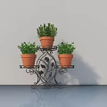 Potted Bonsai Plants On Black Iron Art Flower Stand With Terracotta Pots And Green Foliage