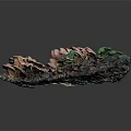 Natural Mushrooms Growing On Wooden Stone Surface With Green Vines And Moss