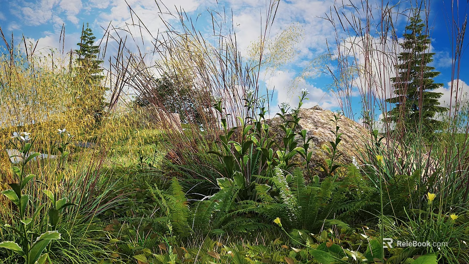 Lush Garden Flowers And Plants With Green Ferns Tall Grasses Large Rock And Blue Sky 3d model 