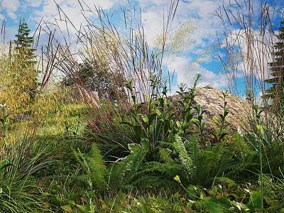 Lush Garden Flowers And Plants With Green Ferns Tall Grasses Large Rock And Blue Sky 3d model