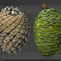 Natural Pine Cones With Different Colors And Textures On Gray Background 3d model