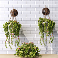 Modern Hanging Basket Hanging Basket Plant Pot 3d model