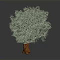 Lush Green Tree With Brown Bear Figure At The Bottom